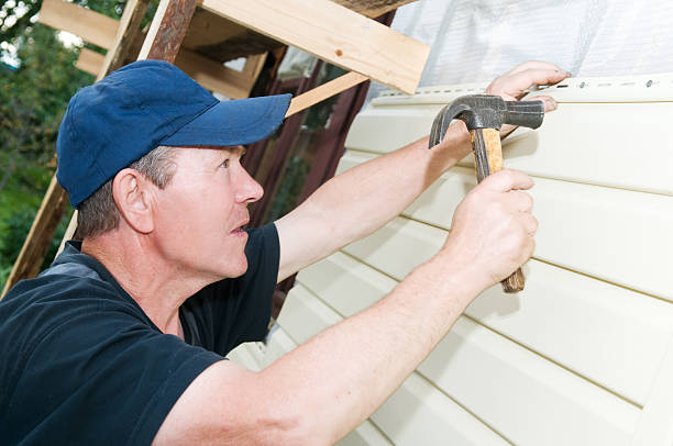 Affordable Siding Repair and Maintenance Services in Hutchinson, MN